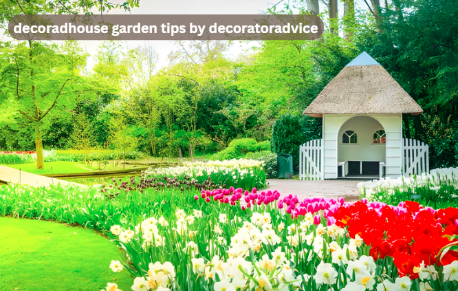 decoradhouse garden tips by decoratoradvice